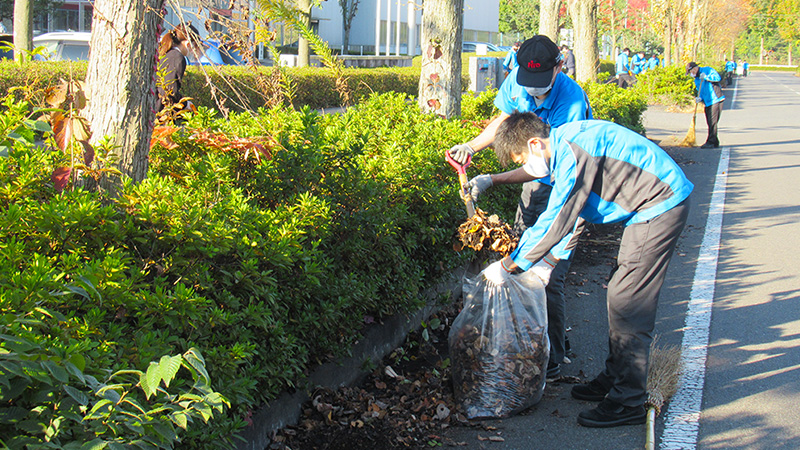 Cleanup volunteers