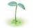 leaf_icon