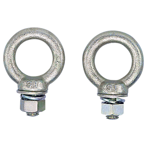 [RD71] Lifting Bolt