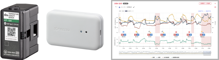 無料レンタル　イメージ